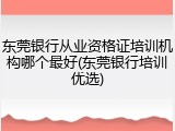 东莞银行从业资格证培训机构哪个最好(东莞银行培训优选)
