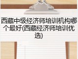 西藏中级经济师培训机构哪个最好(西藏经济师培训优选)