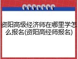 资阳高级经济师在哪里学怎么报名(资阳高经师报名)
