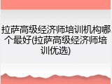 拉萨高级经济师培训机构哪个最好(拉萨高级经济师培训优选)