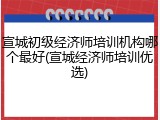 宣城初级经济师培训机构哪个最好(宣城经济师培训优选)