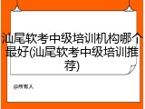 汕尾软考中级培训机构哪个最好(汕尾软考中级培训推荐)