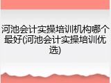 河池会计实操培训机构哪个最好(河池会计实操培训优选)
