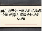 崇左初级会计师培训机构哪个最好(崇左初级会计培训优选)