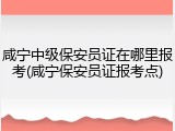 咸宁中级保安员证在哪里报考(咸宁保安员证报考点)