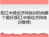 阳江中级经济师培训机构哪个最好(阳江中级经济师培训推荐)