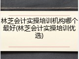 林芝会计实操培训机构哪个最好(林芝会计实操培训优选)