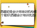 西藏初级会计师培训机构哪个最好(西藏会计培训优选)