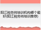 阳江税务师培训机构哪个最好(阳江税务师培训推荐)