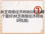 林芝高级经济师培训机构哪个最好(林芝高级经济师培训优选)