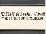 阳江注册会计师培训机构哪个最好(阳江注会培训优选)