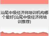 汕尾中级经济师培训机构哪个最好(汕尾中级经济师培训推荐)