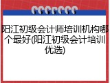 阳江初级会计师培训机构哪个最好(阳江初级会计培训优选)