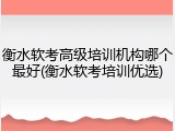 衡水软考高级培训机构哪个最好(衡水软考培训优选)