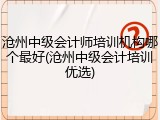 沧州中级会计师培训机构哪个最好(沧州中级会计培训优选)