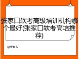张家口软考高级培训机构哪个最好(张家口软考高培推荐)