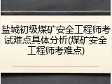 盐城初级煤矿安全工程师考试难点具体分析(煤矿安全工程师考难点)