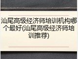 汕尾高级经济师培训机构哪个最好(汕尾高级经济师培训推荐)