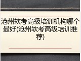 沧州软考高级培训机构哪个最好(沧州软考高级培训推荐)