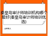 秦皇岛审计师培训机构哪个最好(秦皇岛审计师培训优选)