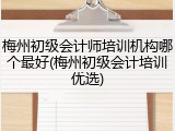 梅州初级会计师培训机构哪个最好(梅州初级会计培训优选)