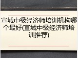 宣城中级经济师培训机构哪个最好(宣城中级经济师培训推荐)