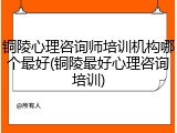 铜陵心理咨询师培训机构哪个最好(铜陵最好心理咨询培训)