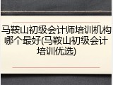 马鞍山初级会计师培训机构哪个最好(马鞍山初级会计培训优选)
