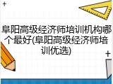 阜阳高级经济师培训机构哪个最好(阜阳高级经济师培训优选)