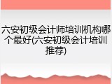 六安初级会计师培训机构哪个最好(六安初级会计培训推荐)
