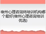 宿州心理咨询师培训机构哪个最好(宿州心理咨询培训优选)