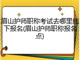 眉山护师职称考试去哪里线下报名(眉山护师职称报名点)