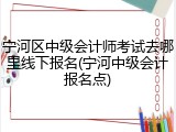 宁河区中级会计师考试去哪里线下报名(宁河中级会计报名点)
