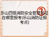 乐山四级消防安全管理员证在哪里报考(乐山消防证报考点)