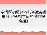 宁河区初级经济师考试去哪里线下报名(宁河经济师报名点)