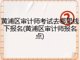 黄浦区审计师考试去哪里线下报名(黄浦区审计师报名点)