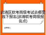 武清区软考高级考试去哪里线下报名(武清软考高级报名点)