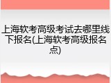 上海软考高级考试去哪里线下报名(上海软考高级报名点)