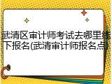 武清区审计师考试去哪里线下报名(武清审计师报名点)