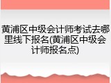 黄浦区中级会计师考试去哪里线下报名(黄浦区中级会计师报名点)