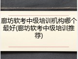 廊坊软考中级培训机构哪个最好(廊坊软考中级培训推荐)