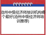 沧州中级经济师培训机构哪个最好(沧州中级经济师培训推荐)