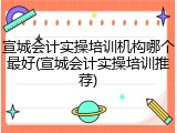宣城会计实操培训机构哪个最好(宣城会计实操培训推荐)