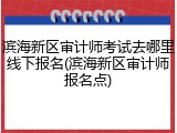 滨海新区审计师考试去哪里线下报名(滨海新区审计师报名点)