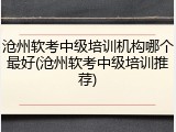 沧州软考中级培训机构哪个最好(沧州软考中级培训推荐)