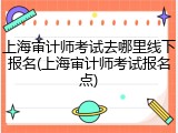 上海审计师考试去哪里线下报名(上海审计师考试报名点)