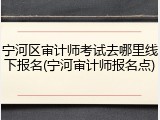 宁河区审计师考试去哪里线下报名(宁河审计师报名点)