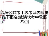 武清区软考中级考试去哪里线下报名(武清软考中级报名点)