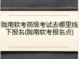 陇南软考高级考试去哪里线下报名(陇南软考报名点)