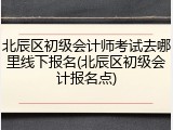 北辰区初级会计师考试去哪里线下报名(北辰区初级会计报名点)